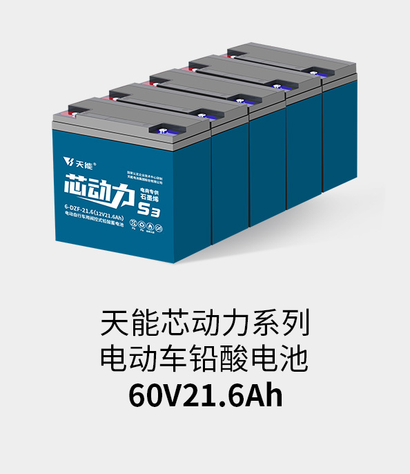 J9九游会电池60v20ah