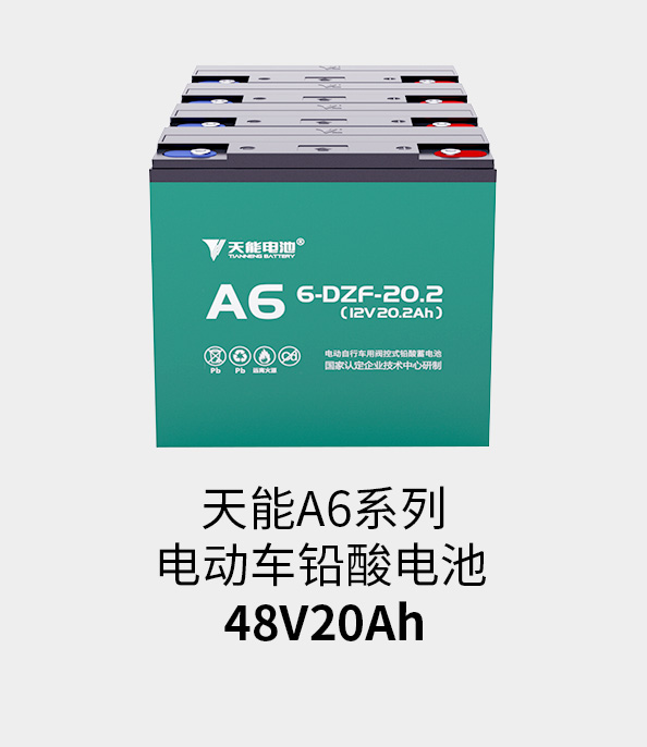 J9九游会电池48v20ah