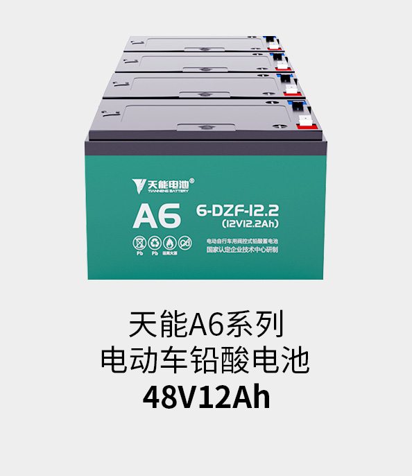 J9九游会电池48v12ah